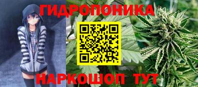стафф Заводоуковск