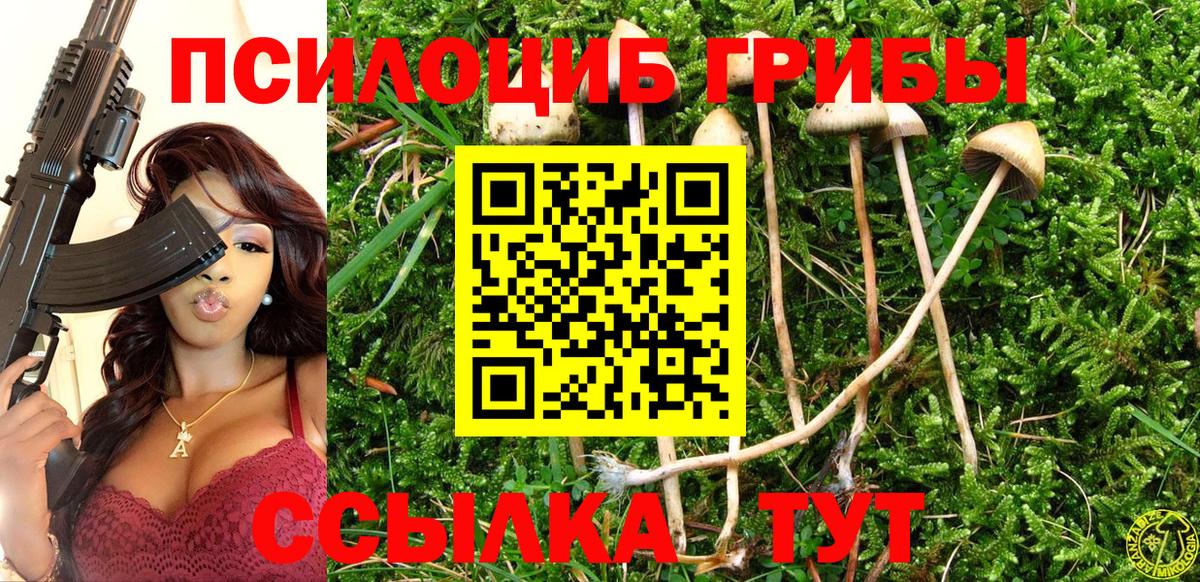 Псилоцибиновые грибы Psilocybe  Вход с VPN  Лыткарино 